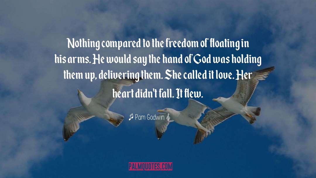 Pam Godwin Quotes: Nothing compared to the freedom