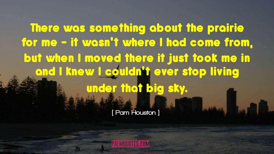 Pam Houston Quotes: There was something about the