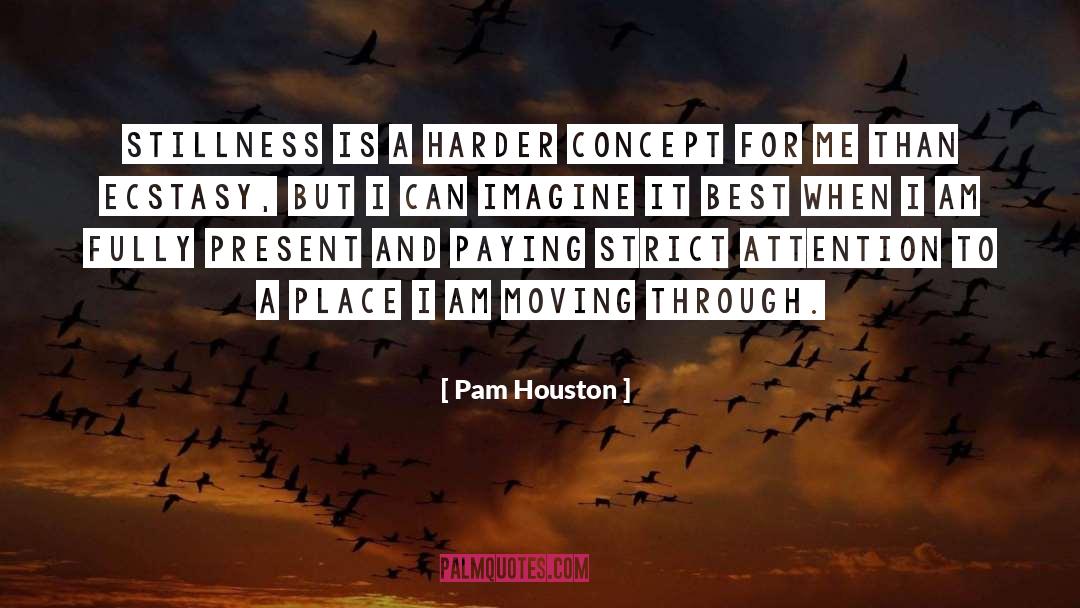 Pam Houston Quotes: Stillness is a harder concept