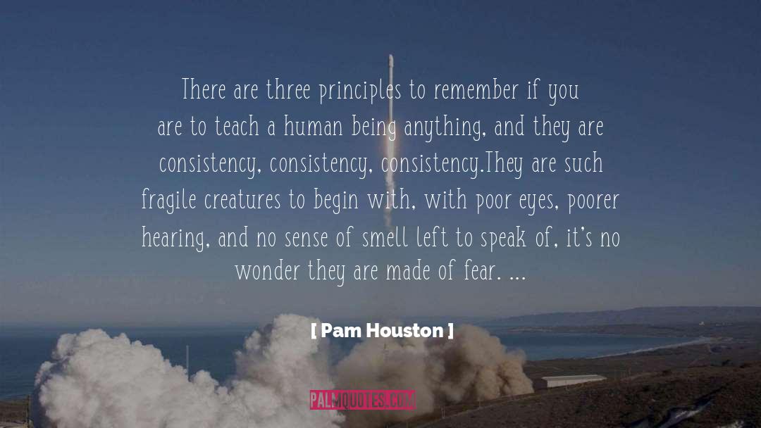 Pam Houston Quotes: There are three principles to