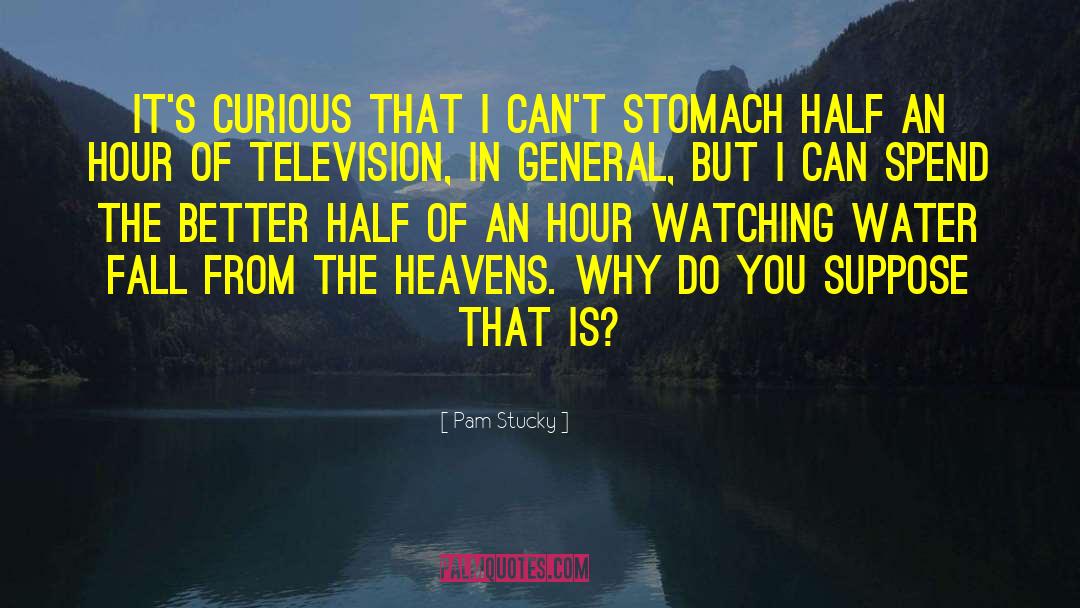 Pam Stucky Quotes: It's curious that I can't