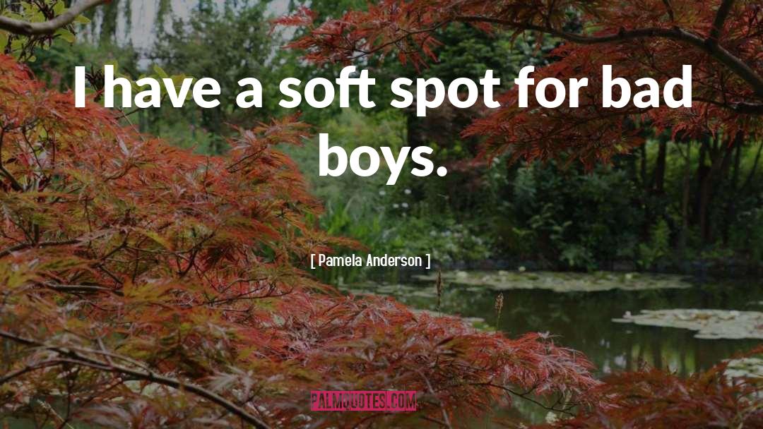 Pamela Anderson Quotes: I have a soft spot