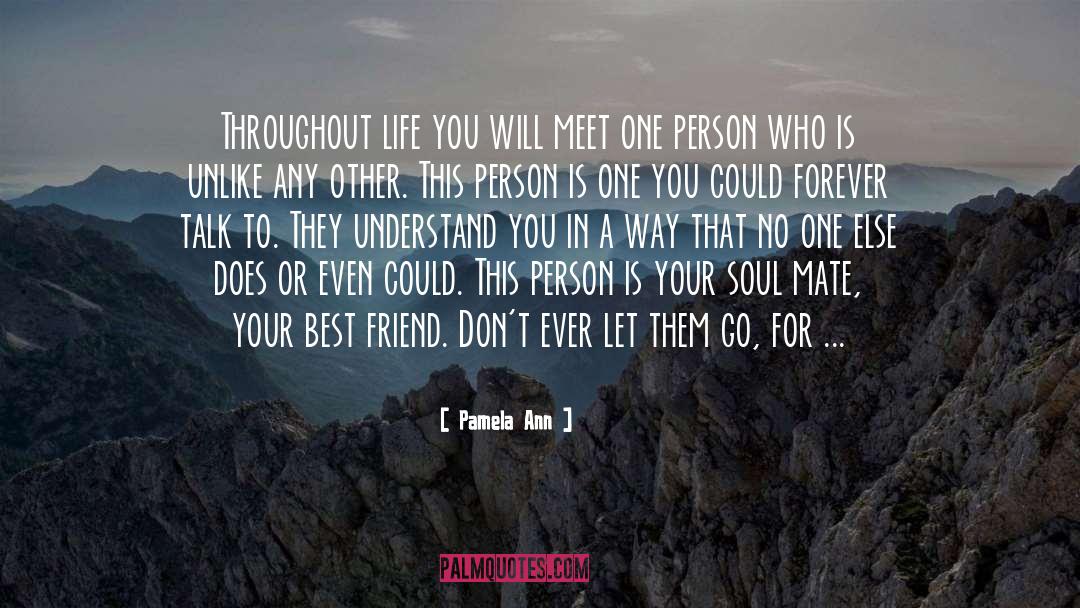 Pamela Ann Quotes: Throughout life you will meet