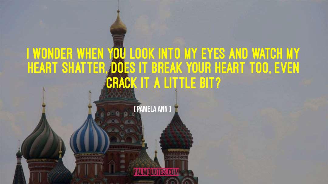 Pamela Ann Quotes: I wonder when you look