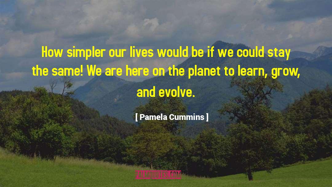Pamela Cummins Quotes: How simpler our lives would