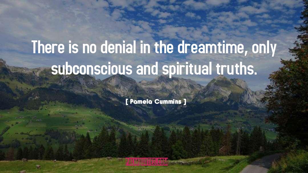 Pamela Cummins Quotes: There is no denial in