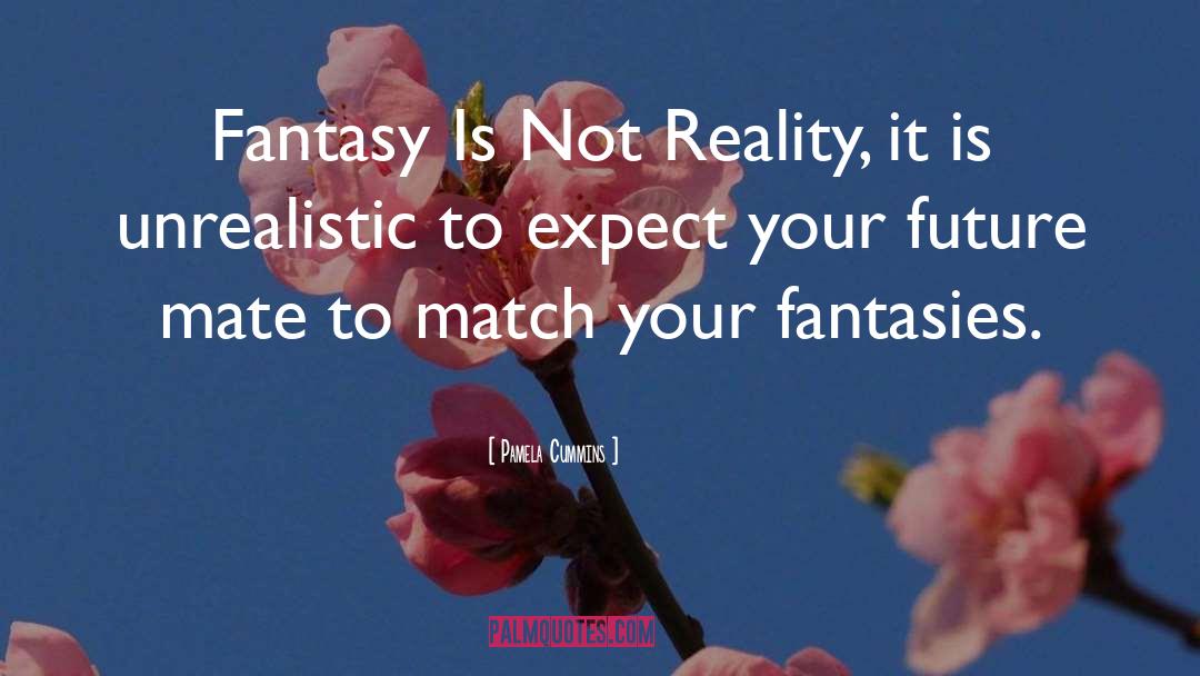Pamela Cummins Quotes: Fantasy Is Not Reality, it
