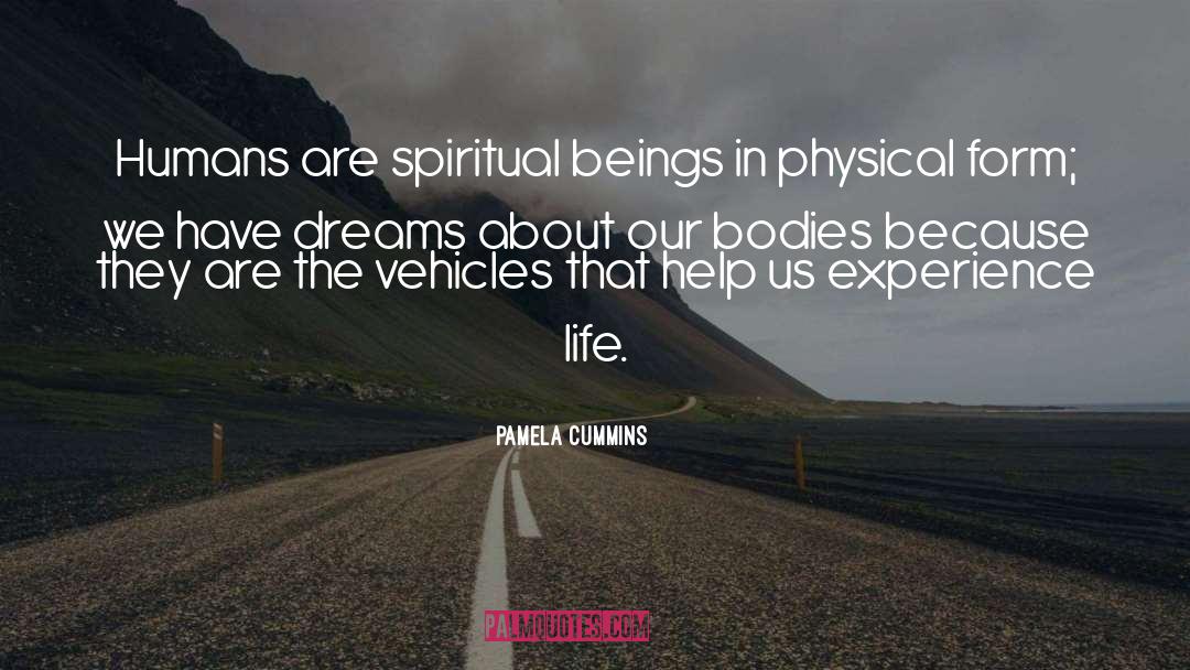 Pamela Cummins Quotes: Humans are spiritual beings in