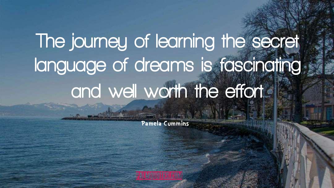 Pamela Cummins Quotes: The journey of learning the