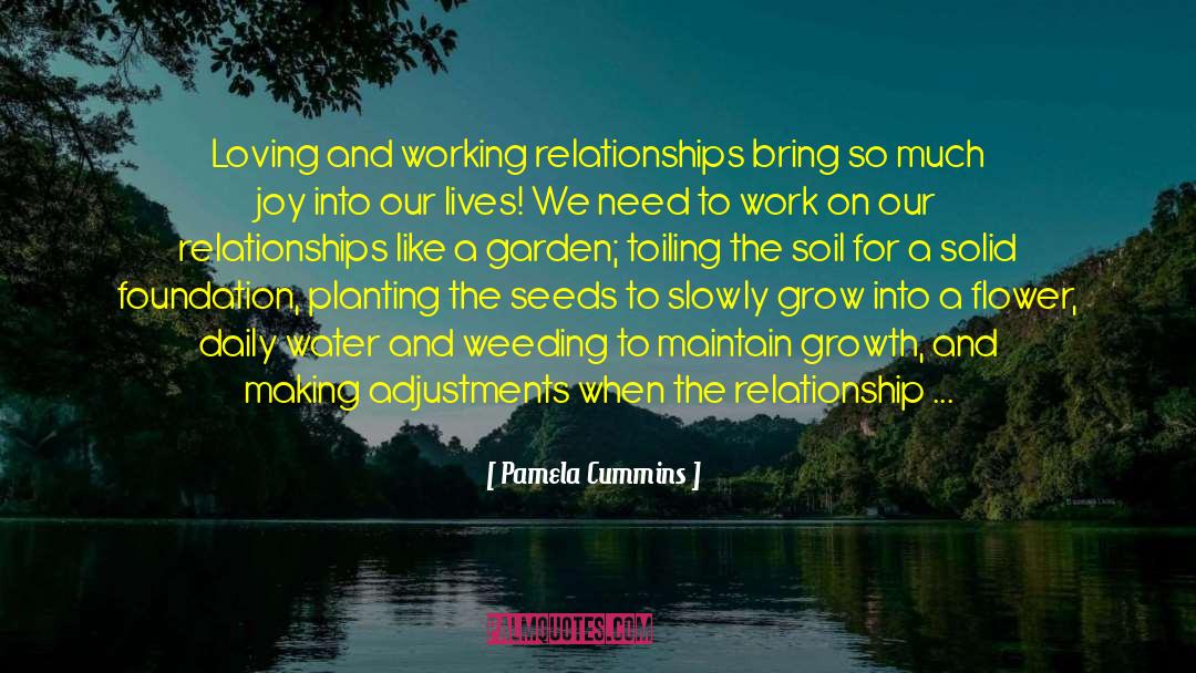 Pamela Cummins Quotes: Loving and working relationships bring