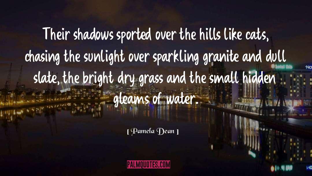 Pamela Dean Quotes: Their shadows sported over the
