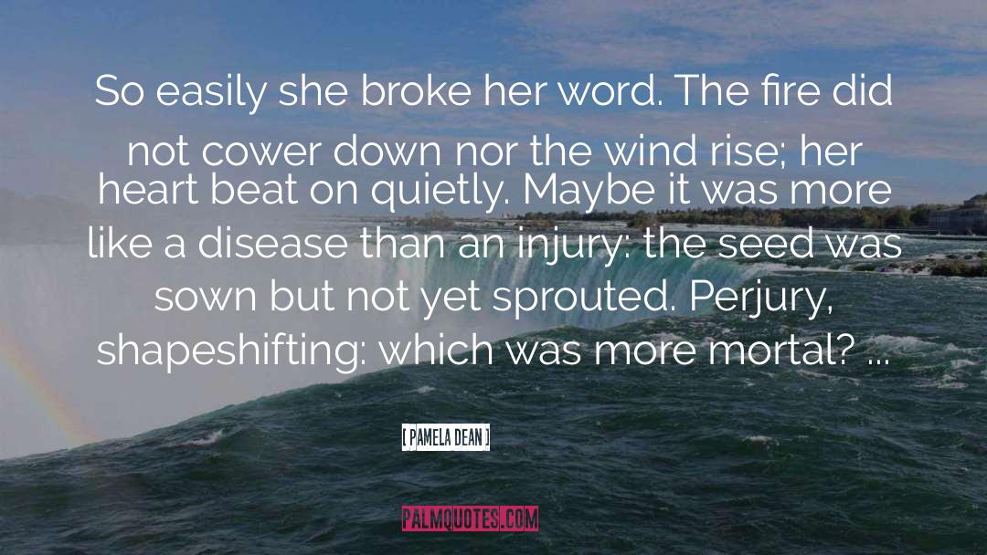 Pamela Dean Quotes: So easily she broke her