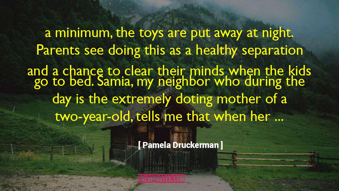 Pamela Druckerman Quotes: a minimum, the toys are