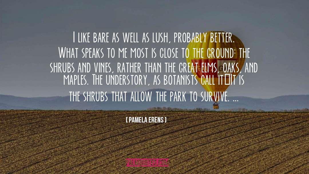 Pamela Erens Quotes: I like bare as well