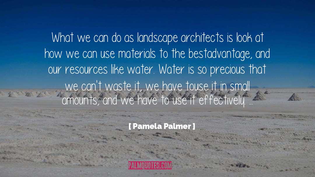 Pamela Palmer Quotes: What we can do as