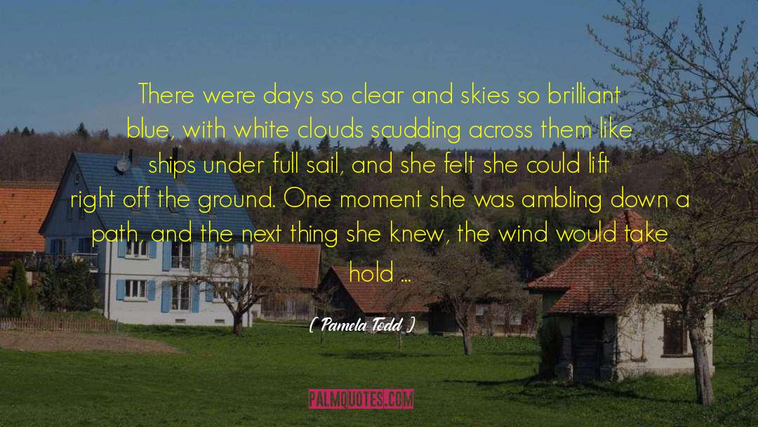 Pamela Todd Quotes: There were days so clear