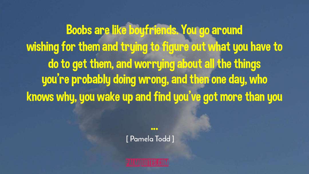 Pamela Todd Quotes: Boobs are like boyfriends. You