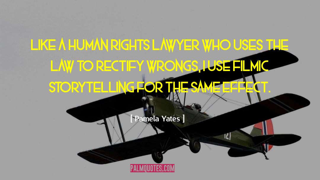 Pamela Yates Quotes: Like a human rights lawyer