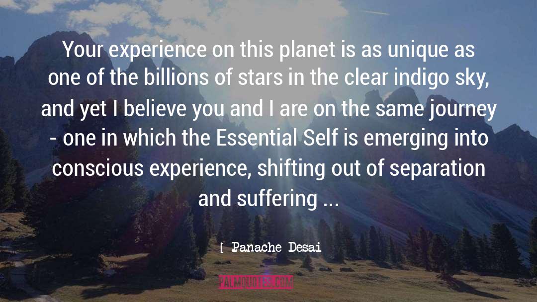 Panache Desai Quotes: Your experience on this planet
