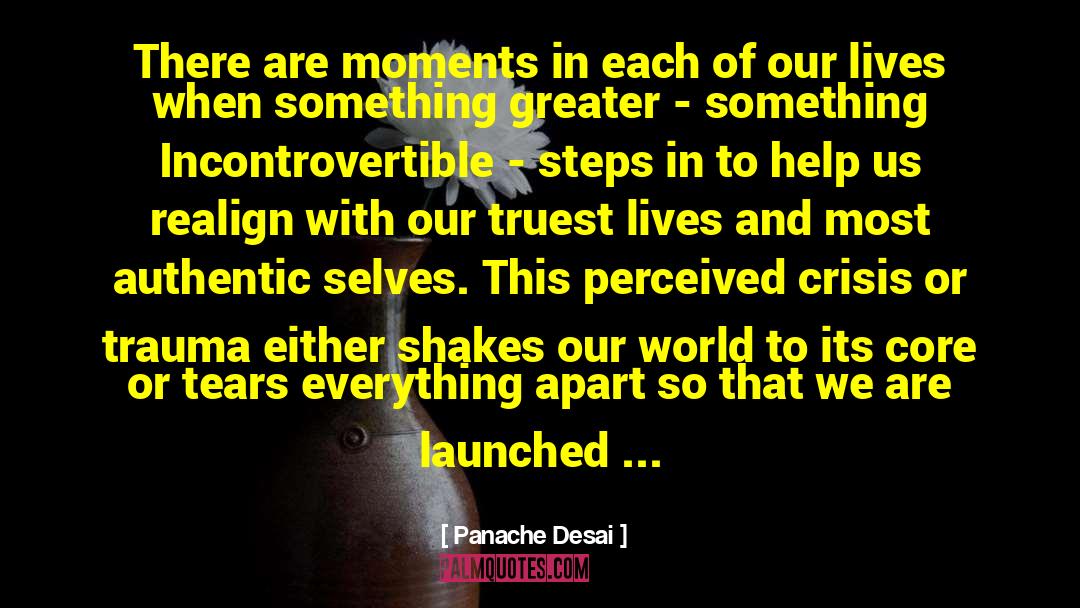 Panache Desai Quotes: There are moments in each