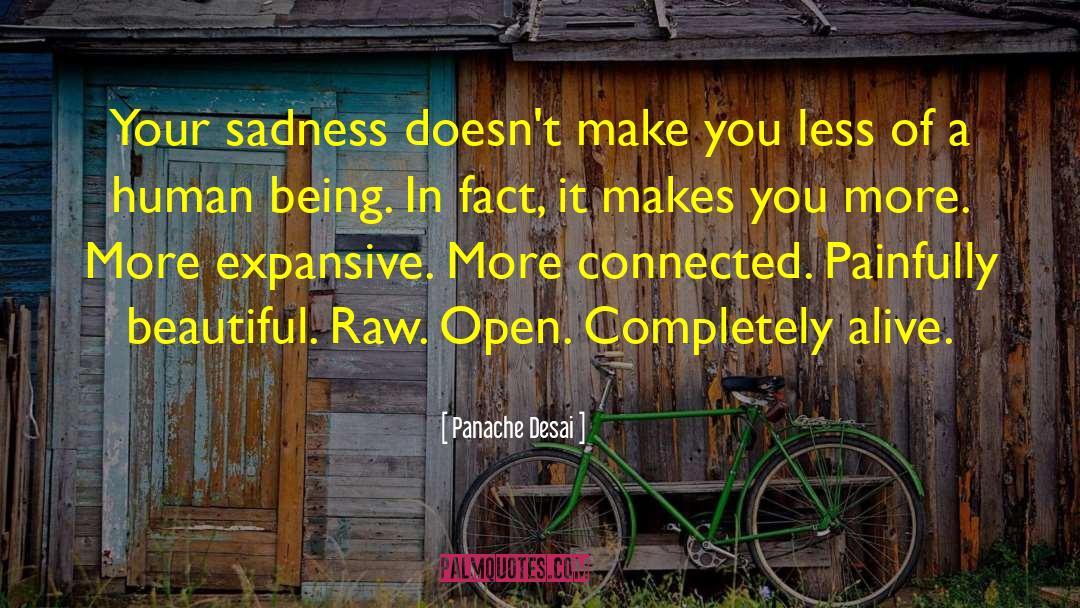 Panache Desai Quotes: Your sadness doesn't make you