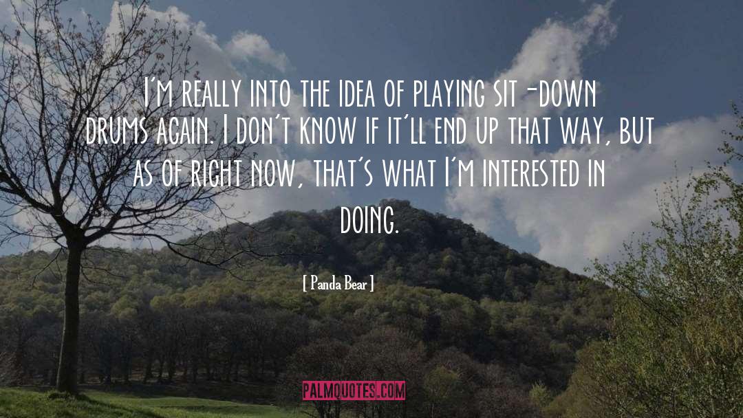 Panda Bear Quotes: I'm really into the idea