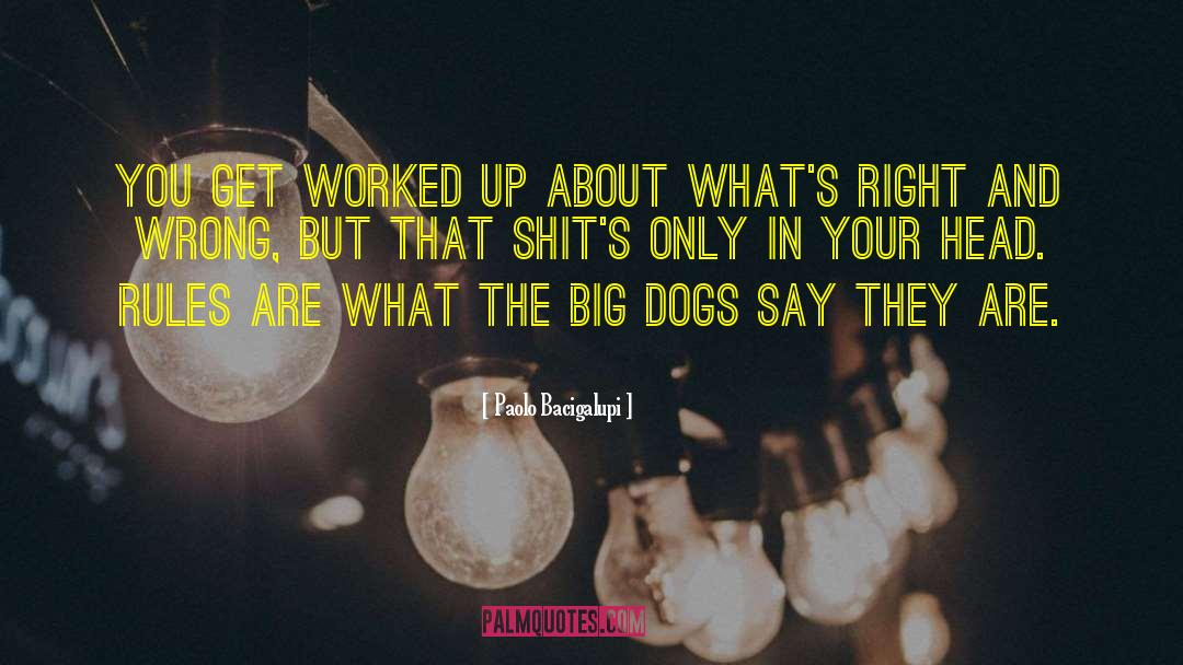 Paolo Bacigalupi Quotes: You get worked up about