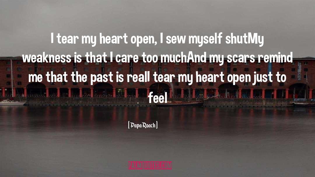 Papa Roach Quotes: I tear my heart open,