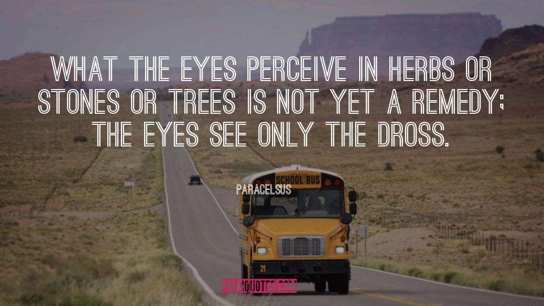 Paracelsus Quotes: What the eyes perceive in