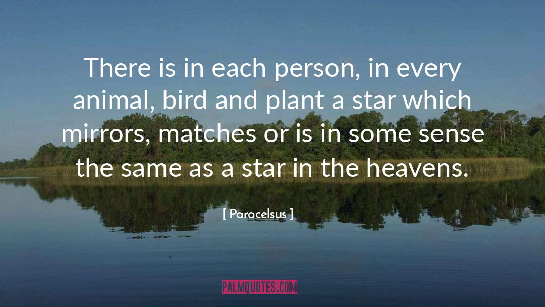 Paracelsus Quotes: There is in each person,