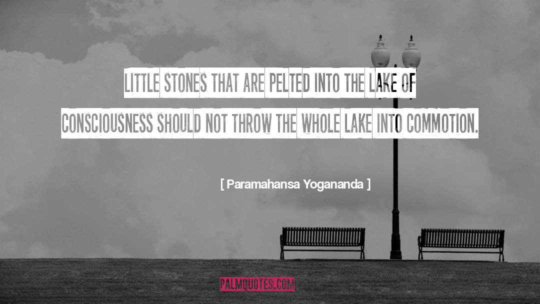 Paramahansa Yogananda Quotes: Little stones that are pelted