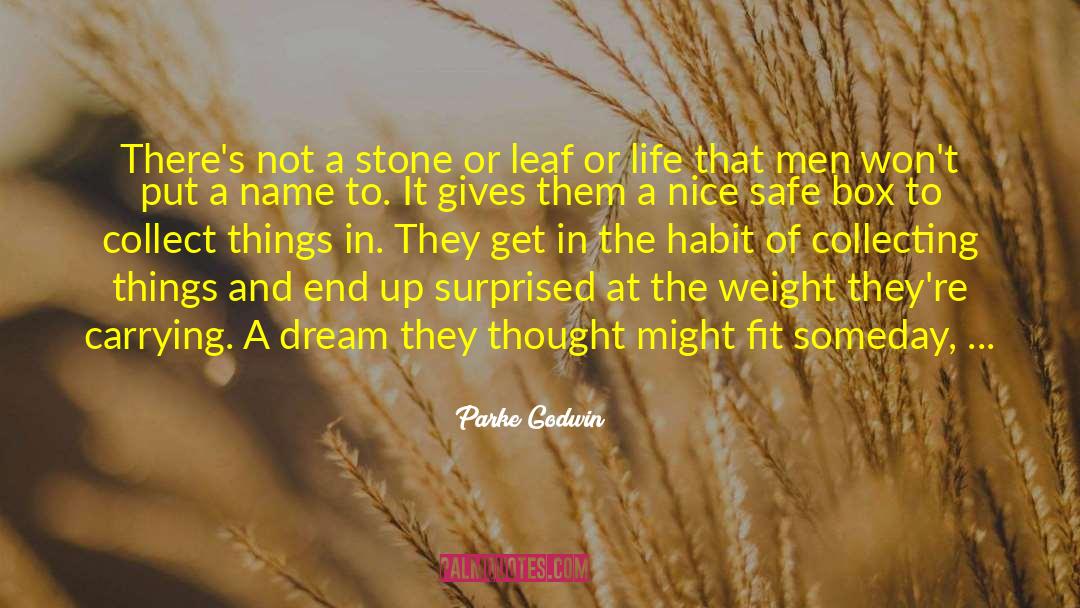 Parke Godwin Quotes: There's not a stone or