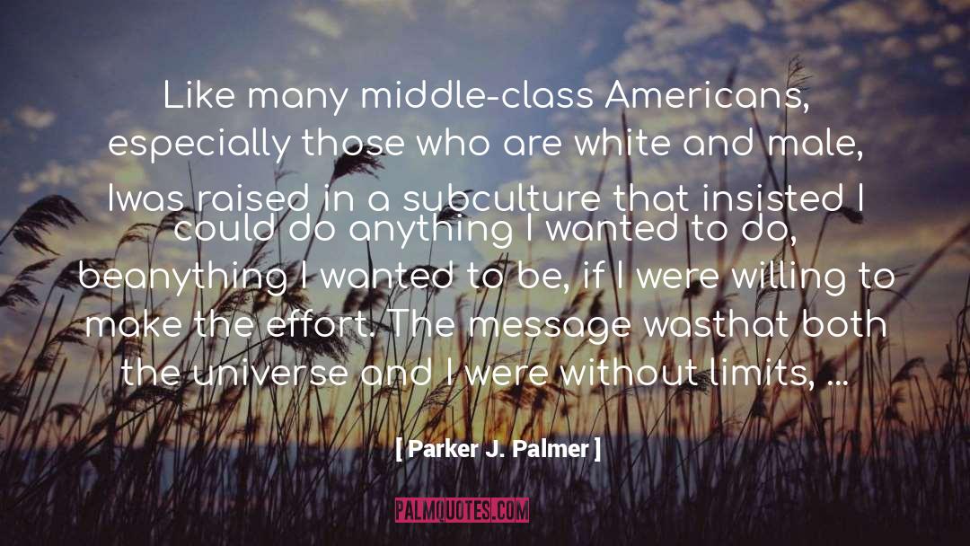 Parker J. Palmer Quotes: Like many middle-class Americans, especially