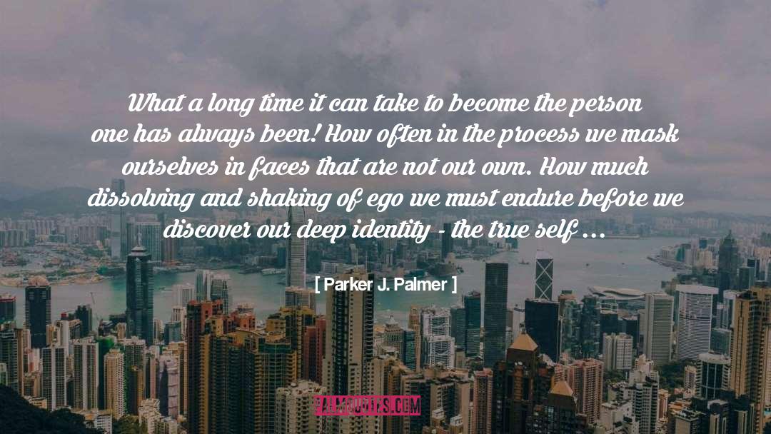 Parker J. Palmer Quotes: What a long time it