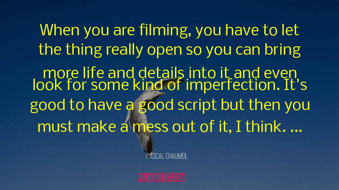 Pascal Chaumeil Quotes: When you are filming, you