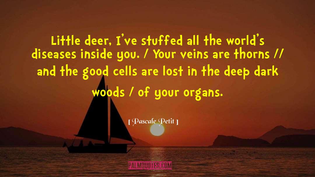 Pascale Petit Quotes: Little deer, I've stuffed all