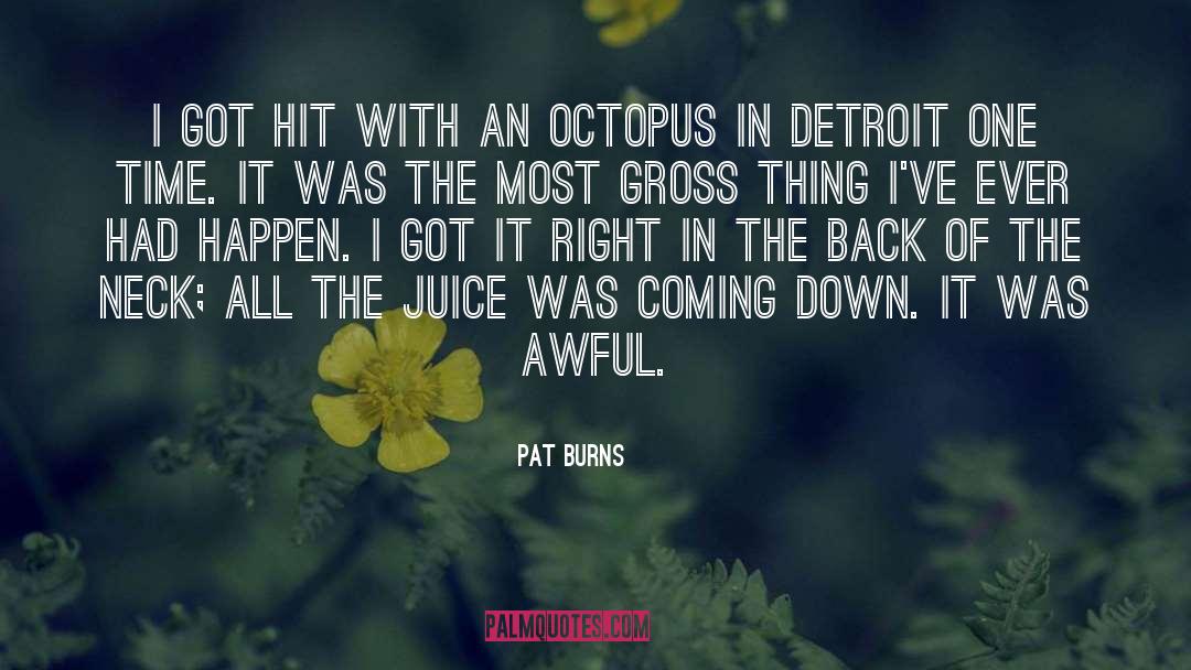 Pat Burns Quotes: I got hit with an