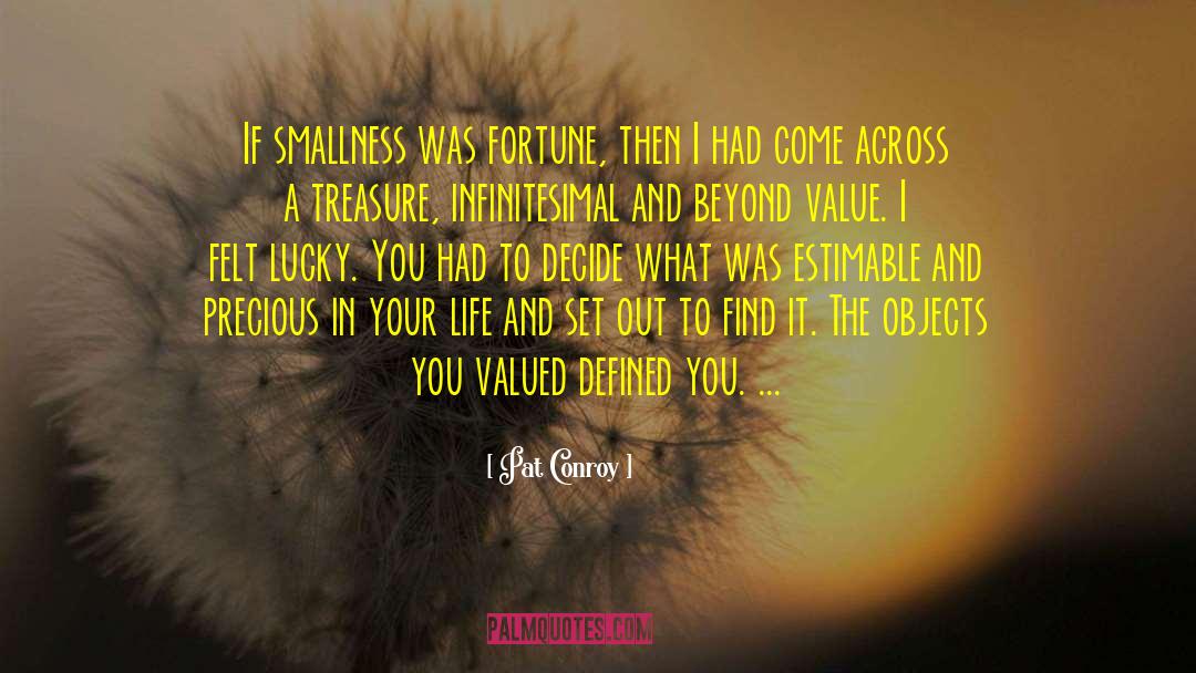 Pat Conroy Quotes: If smallness was fortune, then