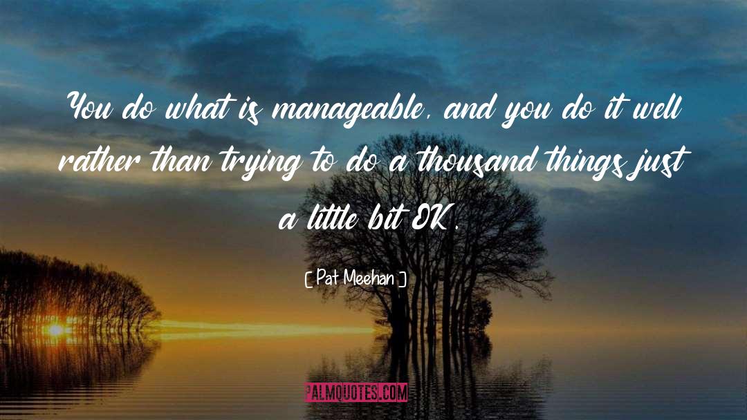Pat Meehan Quotes: You do what is manageable,