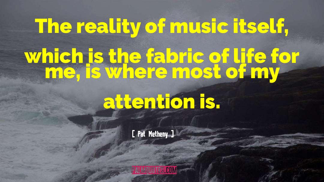 Pat Metheny Quotes: The reality of music itself,