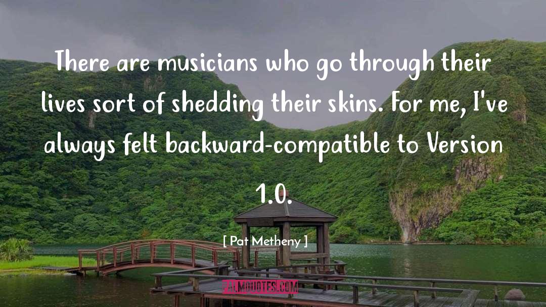 Pat Metheny Quotes: There are musicians who go