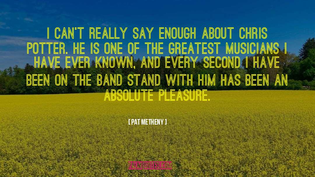 Pat Metheny Quotes: I can't really say enough