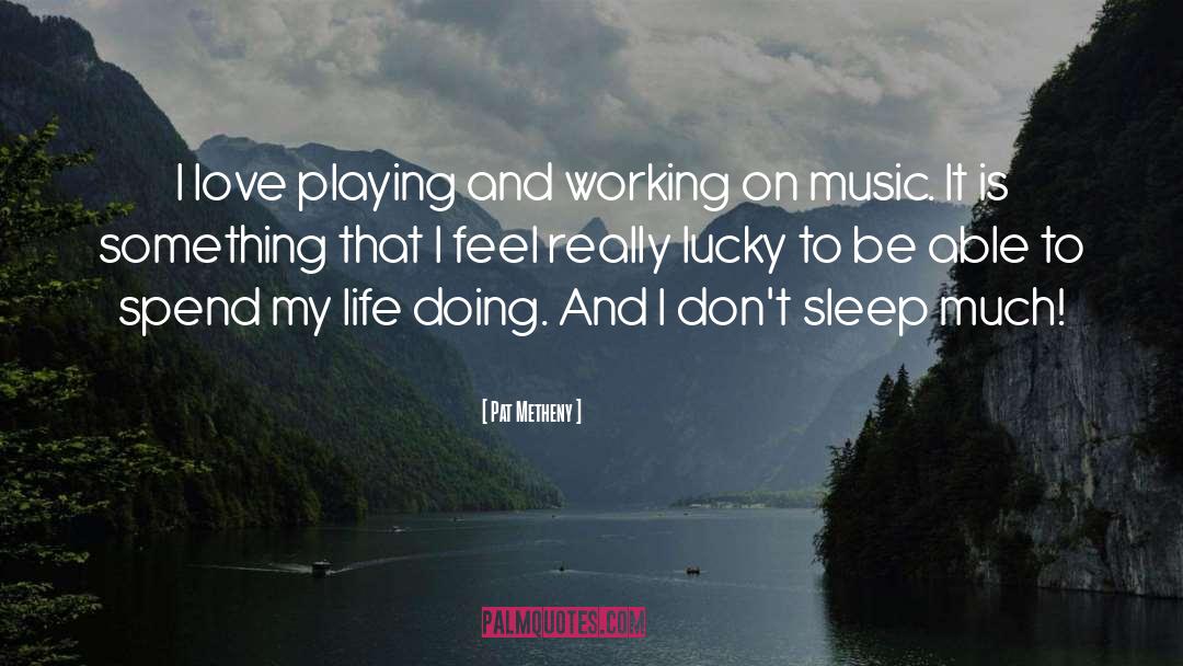 Pat Metheny Quotes: I love playing and working