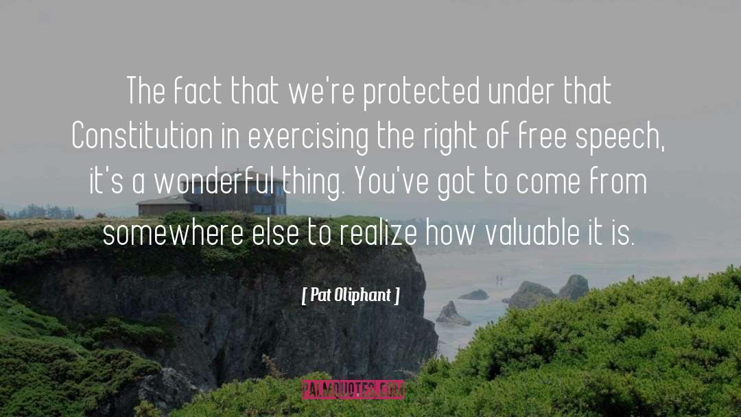 Pat Oliphant Quotes: The fact that we're protected