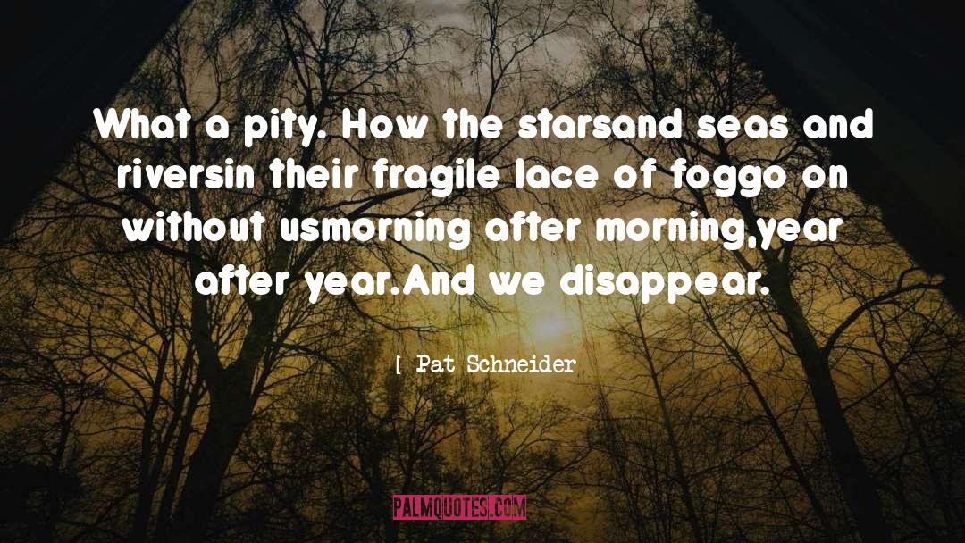 Pat Schneider Quotes: What a pity. How the