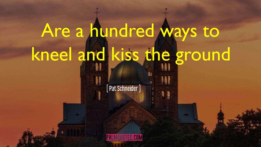 Pat Schneider Quotes: Are a hundred ways to