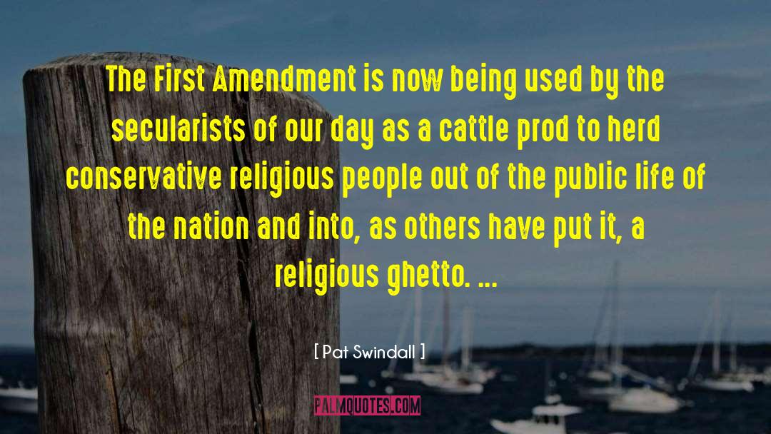 Pat Swindall Quotes: The First Amendment is now