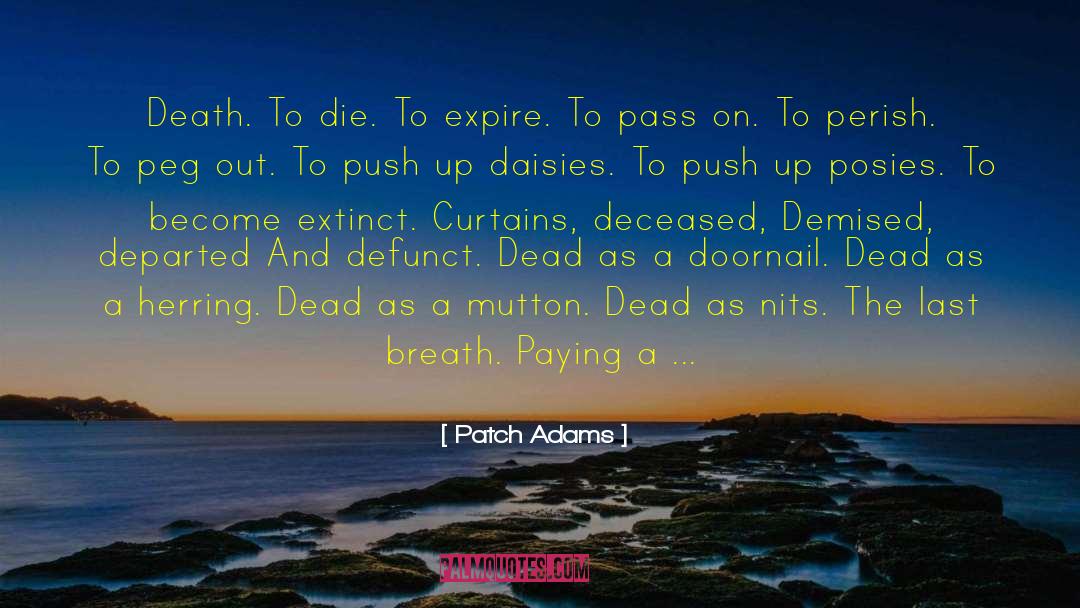 Patch Adams Quotes: Death. To die. To expire.