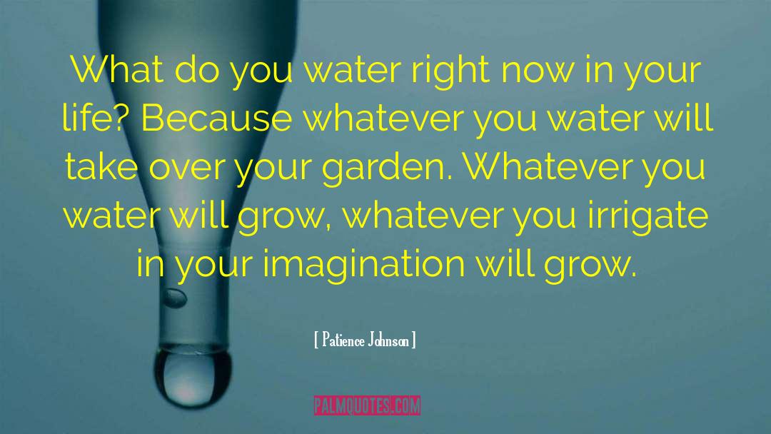Patience Johnson Quotes: What do you water right