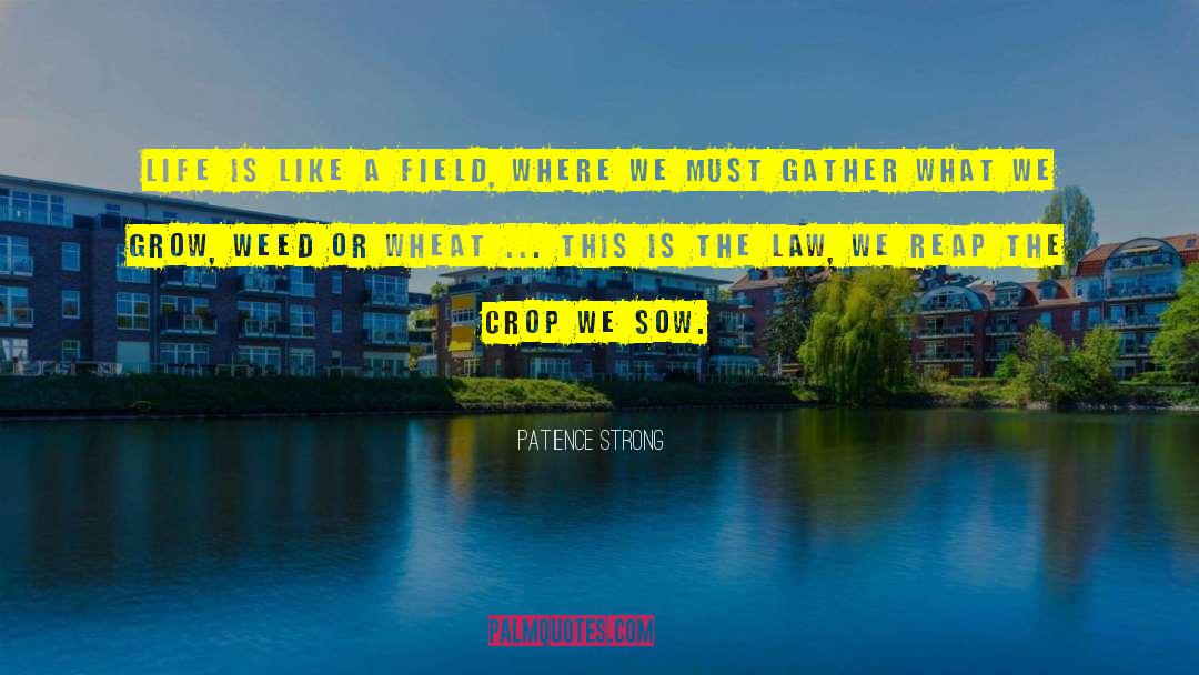 Patience Strong Quotes: Life is like a field,